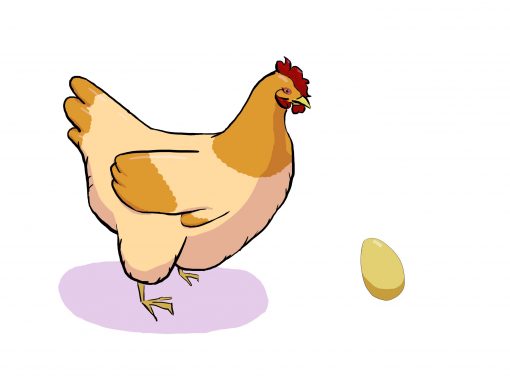Cluck – bird identification from audio clips